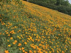 -江苏三台山国家森林公园