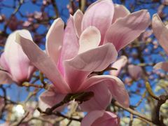 -太阳宫公园