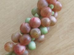 -终南山国家森林公园