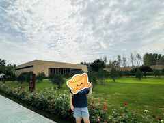 -北京大葆台遗址博物馆