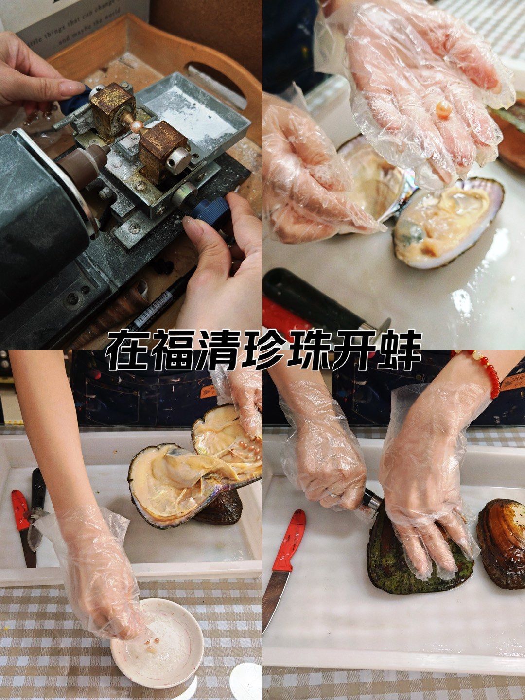 珍珠开蚌,diy饰品 来造物匠