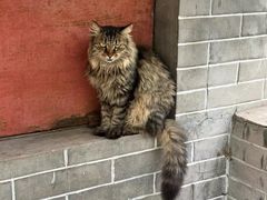 -四门塔风景区