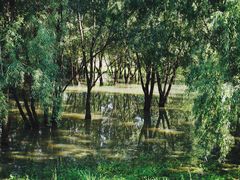 -贵阳市花溪国家城市湿地公园