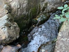 -广州市帽峰山景区