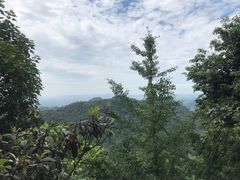 -凤栖山