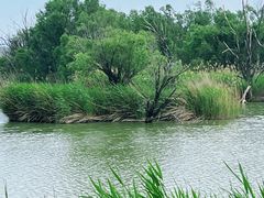 -处女泉风景名胜区