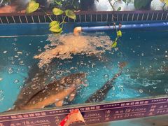 -老关东铁锅炖(上游街店)