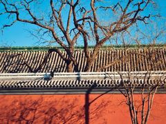 -北京国子监胡同