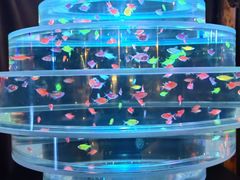 -海合安青岛极地海洋公园