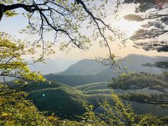 -内乡宝天曼生态旅游区