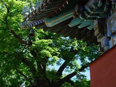 -潭柘寺景区
