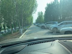 -长白岛森林公园