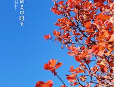 -北宫国家森林公园