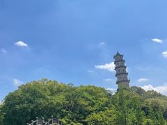 -江心屿景区