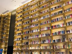 -深影国际影城(学院南路店CGS中国巨幕店)