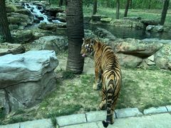 -北京野生动物园