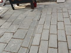 -红螺寺