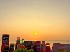 -宁波杭州湾国家湿地公园