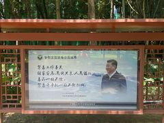 -火炉山森林公园