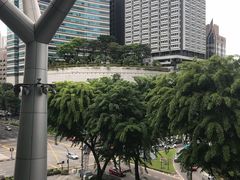-爱雍·乌节
