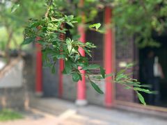 -济南大明湖景区