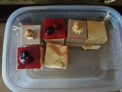 -维尔纳斯·生日蛋糕动物奶油冰淇淋蛋糕(人大店)