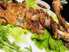 -蒙料·手把肉(望京店)