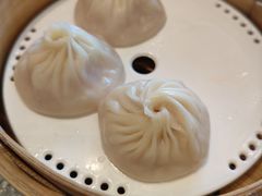 -金苑海鲜酒家(来魅力店)