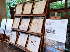 -西双版纳融创皇冠假日度假酒店