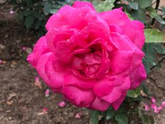 -人民公园(罗湖区)