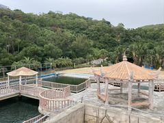 -广东惠东海龟国家级自然保护区