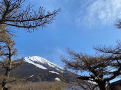 -富士山吉田線五合目