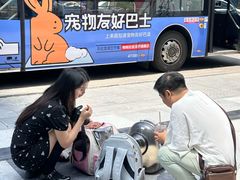 -帕帕拉兹宠物(亚洲旗舰店)