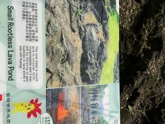 -海口火山口国家地质公园