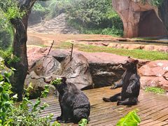 -海南热带野生动植物园