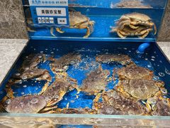 -帝皇海海鲜豆捞(桐泾商务广场店)