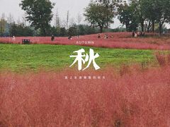 -汉长安城未央宫国家考古遗址公园