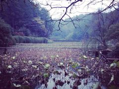 -韶山毛泽东同志故居