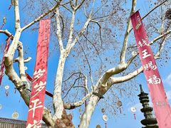 -钱王祠