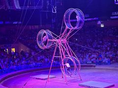 -俄罗斯国家大马戏团