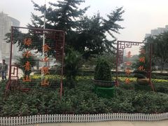 -西北湖绿化广场