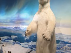 -陕西自然博物馆