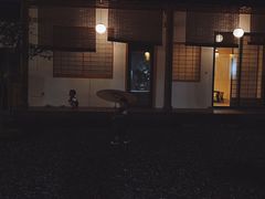 -桤木河湿地公园