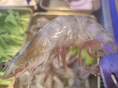 -喜井无限自助烤肉公司(石厦店)