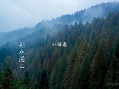 -红峡谷