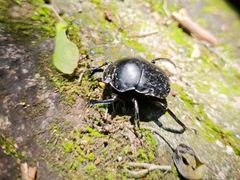 -东南悬空寺方广岩