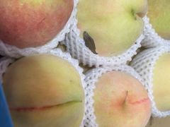 -老袁家蜜桃农场·阳山水蜜桃