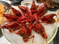 -红盔甲·小龙虾(天钥桥店)
