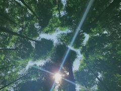 -山王坪喀斯特国家生态公园