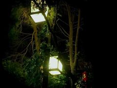 -神光山国家森林公园